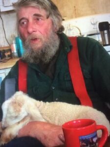 The Value of Mentorship Image